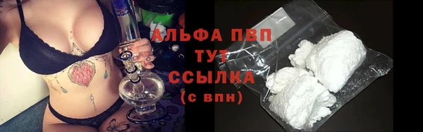 mdpv Ельня