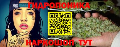 мяу мяу мука Кулебаки