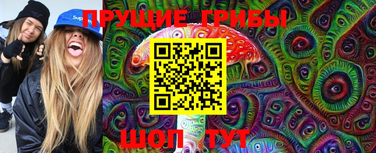 Камень-на-Оби  Галлюциногенные грибы Magic Shrooms  Вход с VPN 