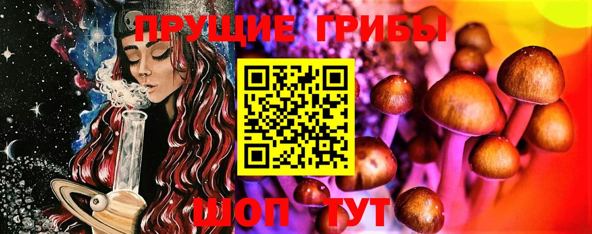 Псилоцибиновые грибы Magic Shrooms Камень-на-Оби